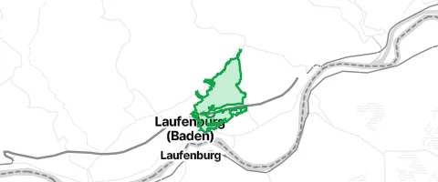 Gassi-Ort Allmendwald in Laufenburg (Baden)