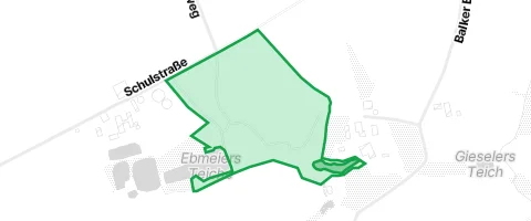 Gassi-Ort Balker Busch in Enger