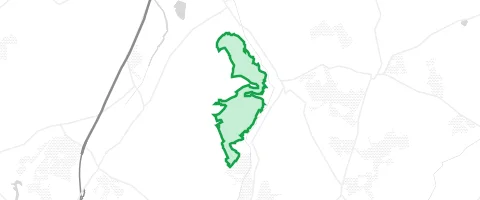 Gassi-Ort Bannwald in Ummendorf