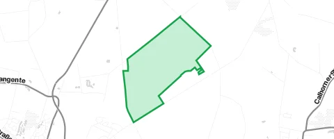 Gassi-Ort Bartmannsholter Forst in Essen (Oldenburg)