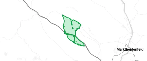 Gassi-Ort Bischbrunner Forst in Bischbrunn