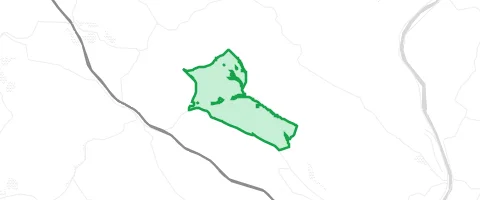 Gassi-Ort Bischbrunner Forst in Bischbrunn