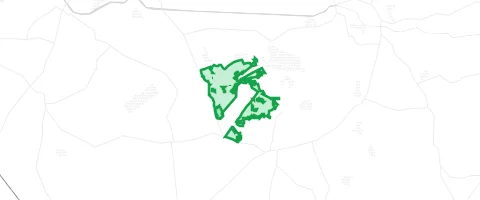 Gassi-Ort Börsteler Wald in Berge