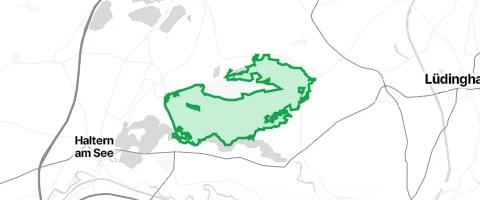 Gassi-Ort Borkenberger Wald in Haltern am See