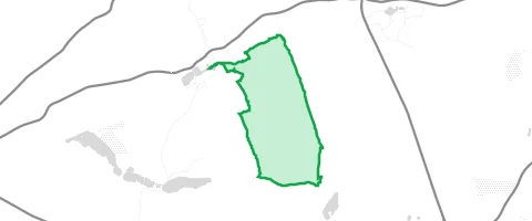 Gassi-Ort Brandholz in Bad Lausick