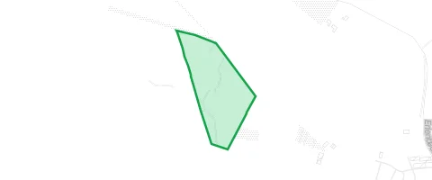 Gassi-Ort Brandsholz in Büdesheim