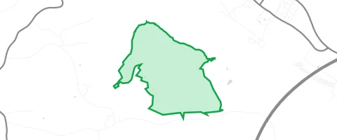 Gassi-Ort Buchholz in Altdorf