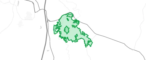 Gassi-Ort Bühlholz in Schamelsberg