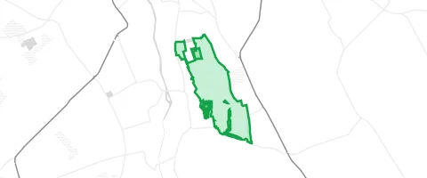 Gassi-Ort Burgauer Wald in Düren