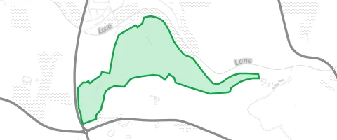 Gassi-Ort Butzenwald in Bernstadt