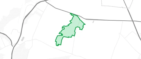 Gassi-Ort Diedersdorfer Heide in Kleinbeeren