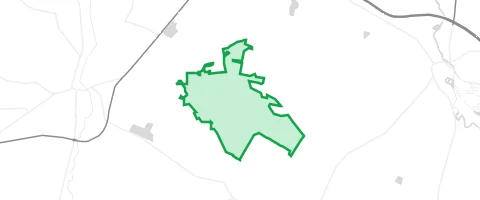 Gassi-Ort Drosten Tannen in Metelen