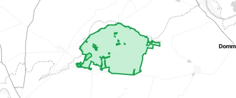 Gassi-Ort Dübener Heide in Laußig