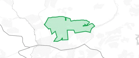 Gassi-Ort Eisenpfähle in Tanne