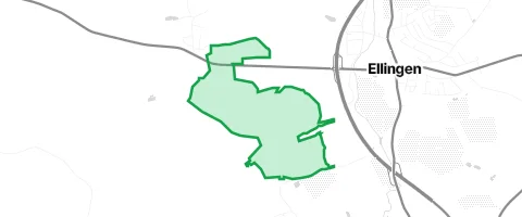 Gassi-Ort Ellinger Wald in Ellingen