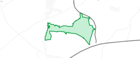 Gassi-Ort Fahrenholzer Wald in Ziesendorf