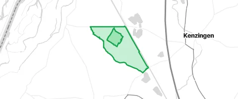 Gassi-Ort Forchheimer Wald in Forchheim