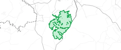 Gassi-Ort Forst Arenberg in Stadtkyll
