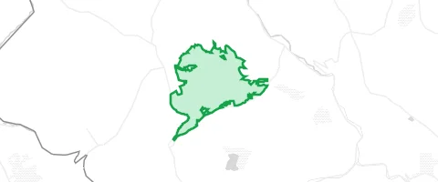 Gassi-Ort Forst Bärenstein in Altenberg