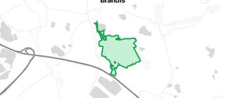 Gassi-Ort Forst Brandis in Brandis