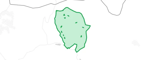 Gassi-Ort Forst Lohrerstraße in Lohrhaupten