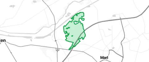 Gassi-Ort Frentroper Mark in Marl