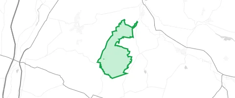 Gassi-Ort Gillersheimer Forst in Gillersheim