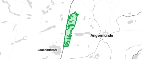 Gassi-Ort Görlsdorfer Forst in Friedrichswalde
