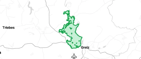 Gassi-Ort Gommlaer Wald in Gommla