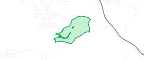 Gassi-Ort Gräflich Ingelheim'sche Waldung in Mespelbrunn
