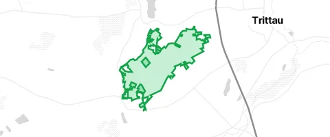 Gassi-Ort Grander Tannen in Großensee