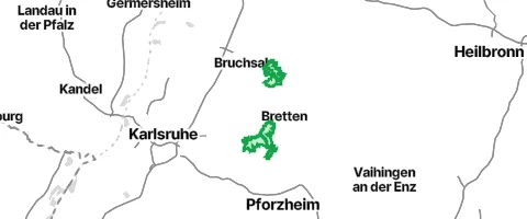 Gassi-Ort Großer Wald in Stein