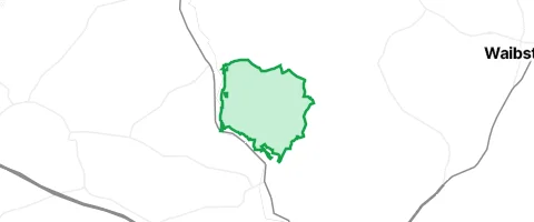 Gassi-Ort Großer Wald in Sinsheim