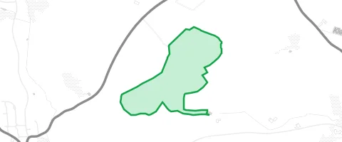 Gassi-Ort Großes Holz in Berg