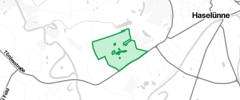 Gassi-Ort Hammer Sand in Haselünne