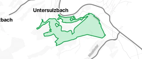 Gassi-Ort Hegelwald in Hirschhorn/Pfalz