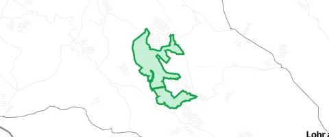 Gassi-Ort Heinrichsthaler Forst in Heinrichsthaler Forst