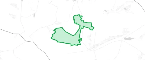 Gassi-Ort Hobecker Wald in Möckern