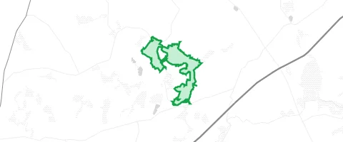 Gassi-Ort Höltingsdorfer Forst in Passee