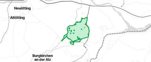 Gassi-Ort Holzfelder Forst in Burghausen