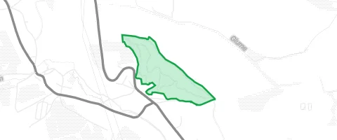 Gassi-Ort Katharinenholz in Kreisfeld