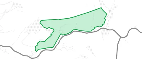 Gassi-Ort Kesterter Wald in Kamp-Bornhofen