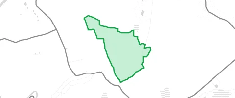Gassi-Ort Königshainer Wald in Königshain-Wiederau