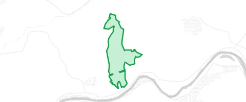 Gassi-Ort Kollenberger Forst in Collenberg