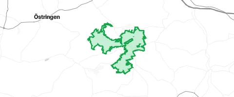 Gassi-Ort Kreuzbergwald in Östringen