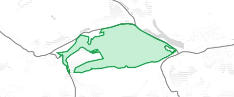 Gassi-Ort Landscheider Wald in Ommersheim