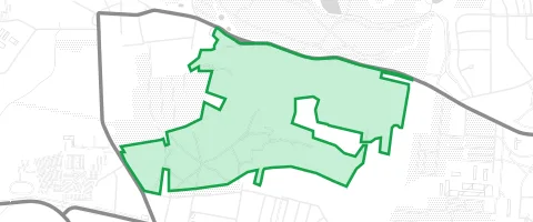Gassi-Ort Lobenbreiten Fichten in Dessau