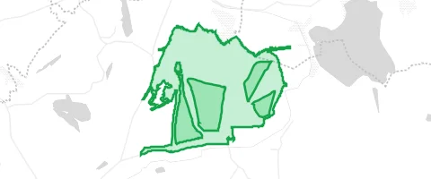 Gassi-Ort Luckaer Forst in Lucka