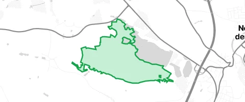 Gassi-Ort Neustädter Bürgerwald in Altenstadt an der Waldnaab