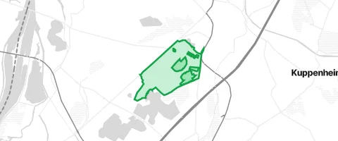 Gassi-Ort Niederwald in Iffezheim